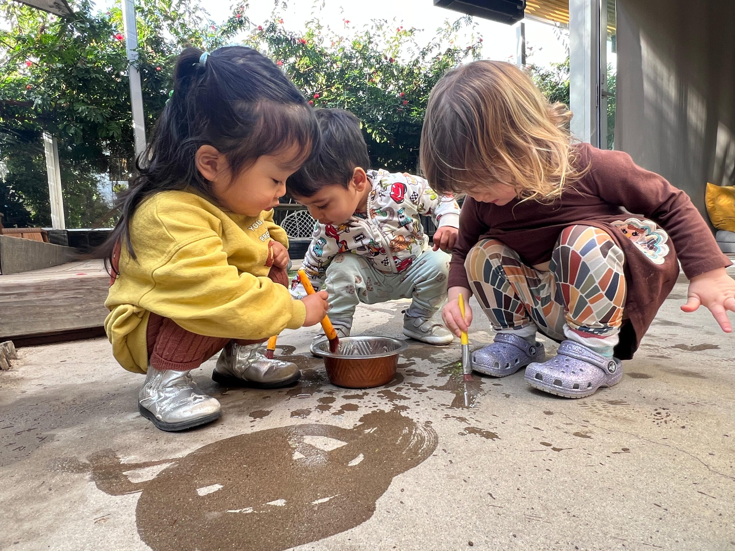 Seedlings Program